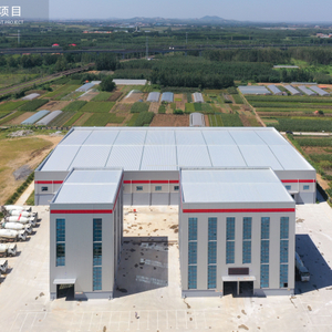 Prefabricated Building Steel Structure Workshop Industrial Warehouse