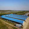  Steel Framing Poultry House Chicken Farm Building