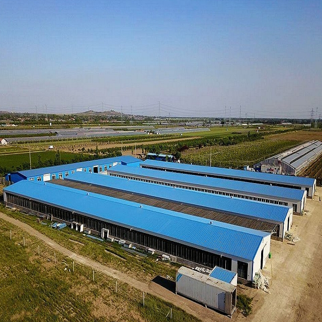  Steel Framing Poultry House Chicken Farm Building