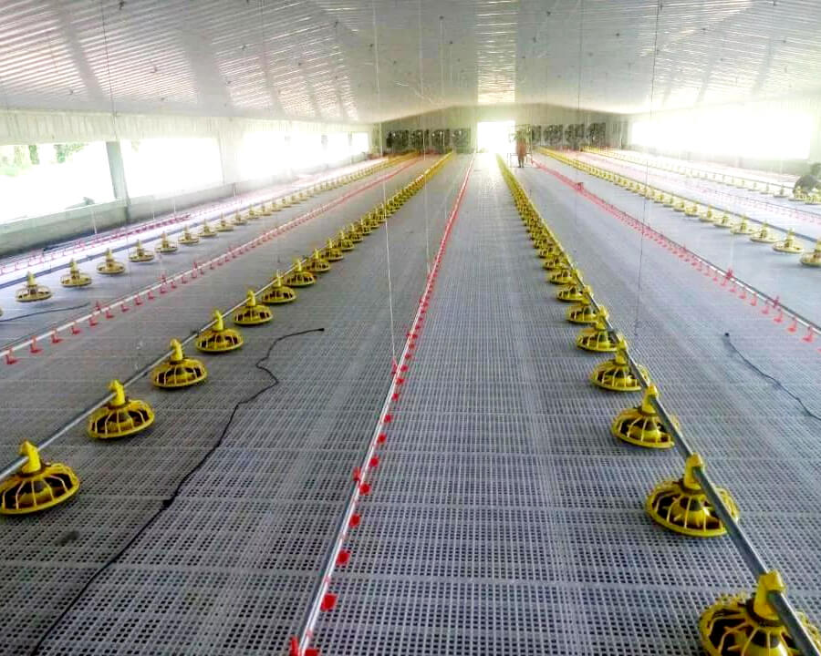 Hot Galvanized Automatic Chicken Cage/ Poultry Farm House Design in Filipinas