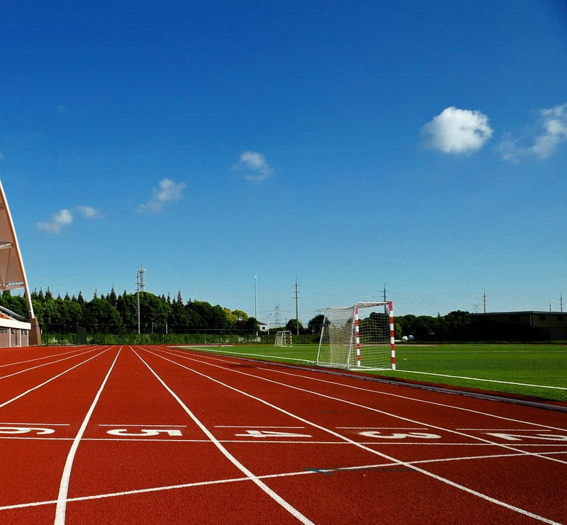 Prefabricated Steel Structure School Stadium Space Frame Building