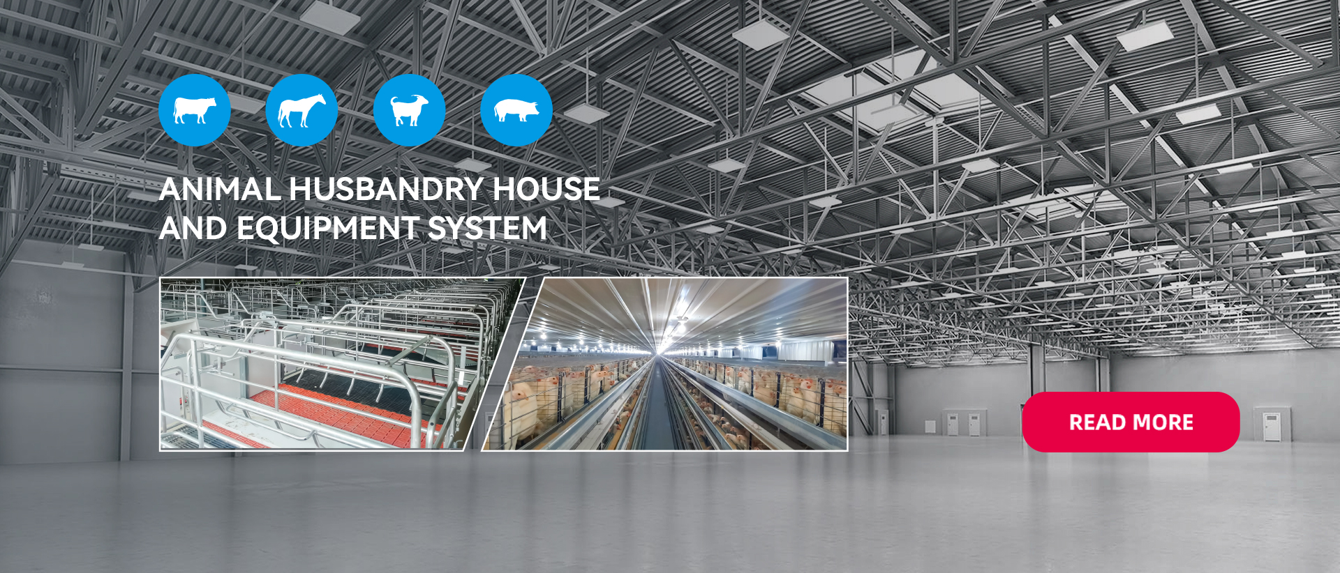 Canada Steel Poultry House direct sales