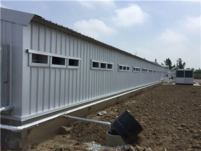 commercial chicken houses