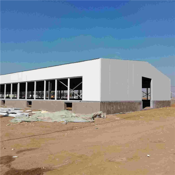 Steel Iron Structure Framing Poultry Farms Building Layer Shed House