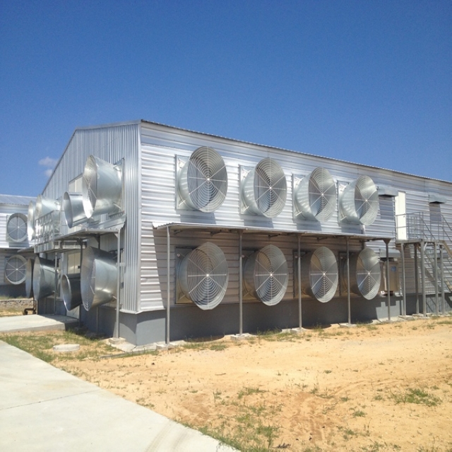 Cold Formed Steel Structure Automatic Chicken Farm Building with Mezzanine